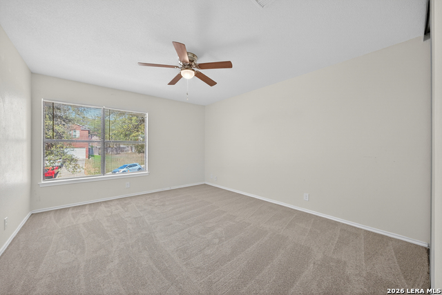 Image 30 of 33 For 8614 Running Quail