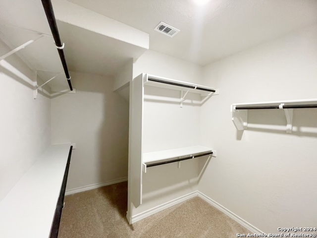 Image 14 of 43 For 5015 Dancing Gopher