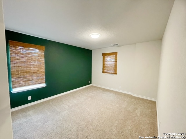 Image 17 of 43 For 5015 Dancing Gopher