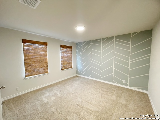 Image 19 of 43 For 5015 Dancing Gopher