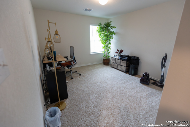 Image 27 of 43 For 5015 Dancing Gopher