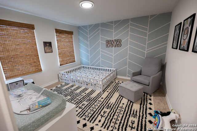 Image 28 of 43 For 5015 Dancing Gopher