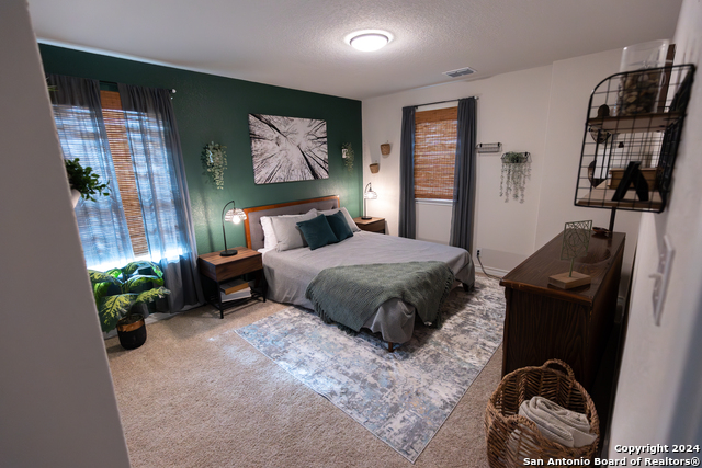 Image 29 of 43 For 5015 Dancing Gopher