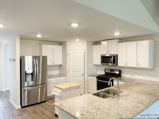 Image 3 of 43 For 5015 Dancing Gopher