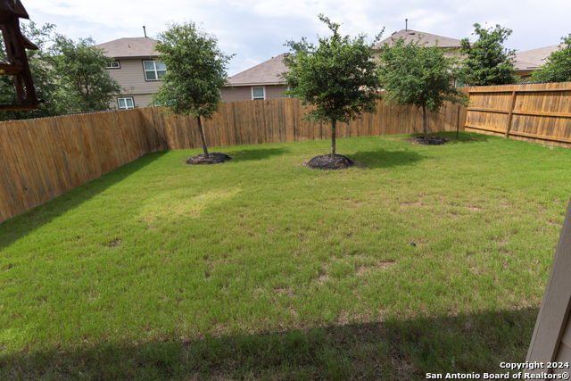 Image 33 of 43 For 5015 Dancing Gopher