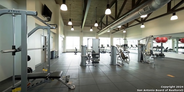 Image 39 of 43 For 5015 Dancing Gopher