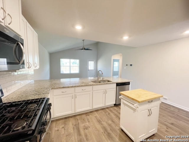 Image 5 of 43 For 5015 Dancing Gopher