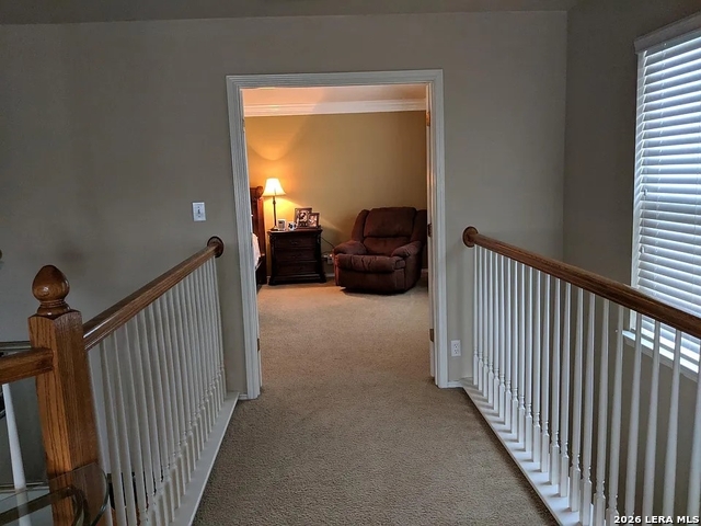 Image 14 of 25 For 10519 Cougar Chase