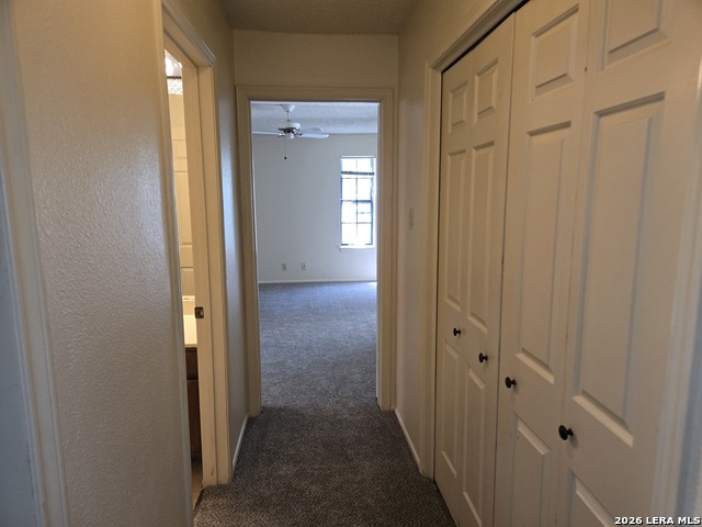 Image 12 of 31 For 4212 Medical Dr  903