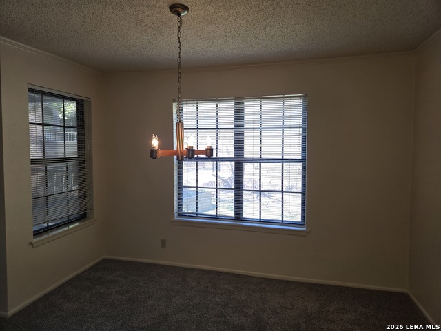 Image 8 of 31 For 4212 Medical Dr  903