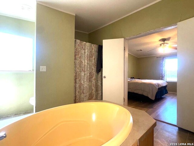 Image 11 of 19 For 435 North Trail