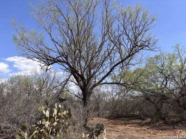 Image 10 of 23 For 00 Cr 103  