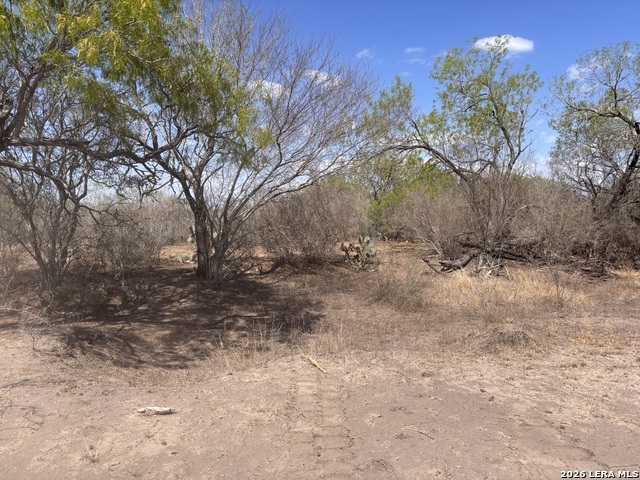 Image 11 of 23 For 00 Cr 103  