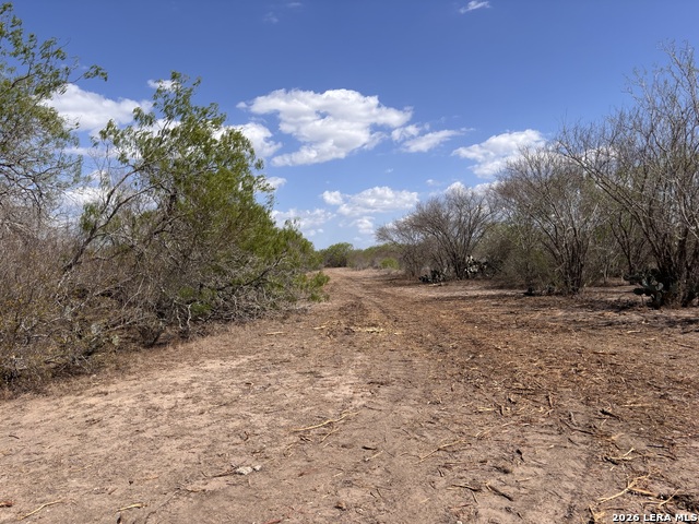 Image 12 of 23 For 00 Cr 103  