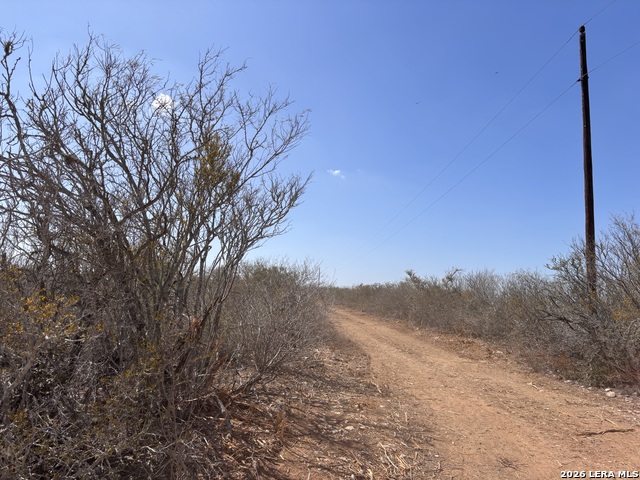 Image 14 of 23 For 00 Cr 103  