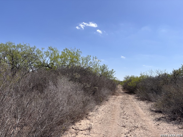 Image 17 of 23 For 00 Cr 103  