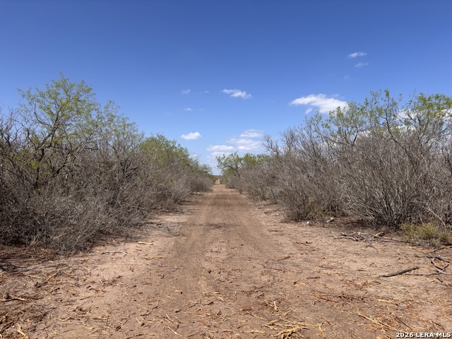 Image 3 of 23 For 00 Cr 103  