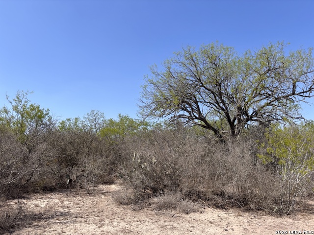 Image 5 of 23 For 00 Cr 103  