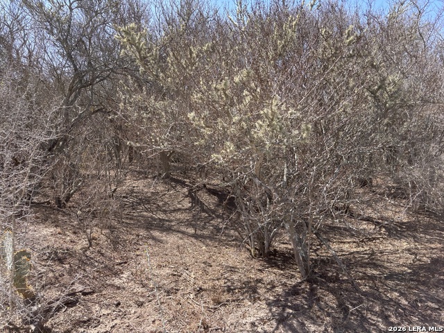 Image 6 of 23 For 00 Cr 103  