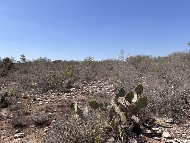 Image 7 of 23 For 00 Cr 103  