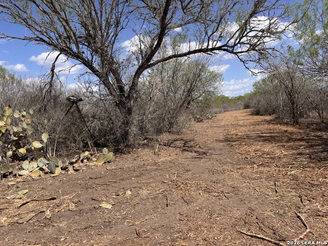 Image 8 of 23 For 00 Cr 103  