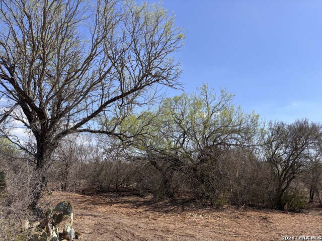 Image 9 of 23 For 00 Cr 103  