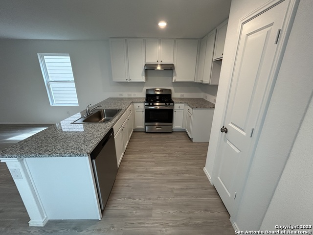 Image 6 of 31 For 11026 Tree Line