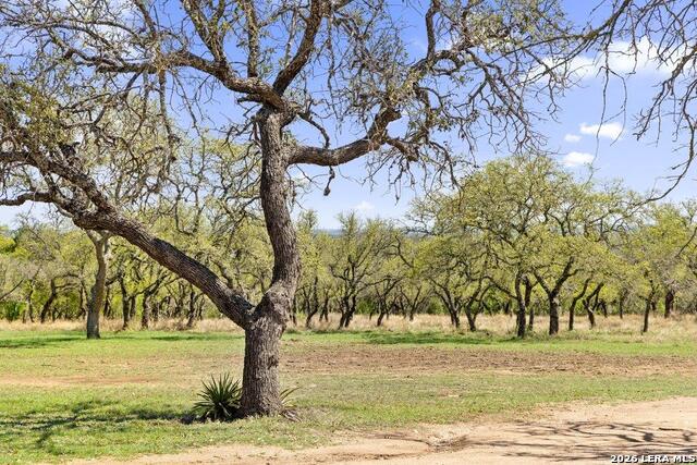 Image 33 of 40 For 434 Turner Ct W