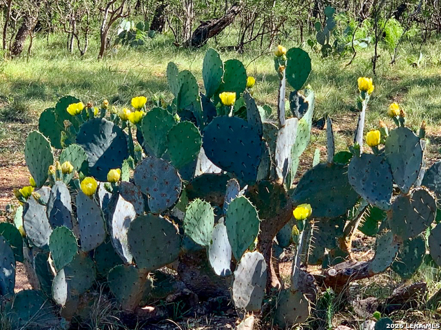 Image 56 of 63 For 7869 County Road 311