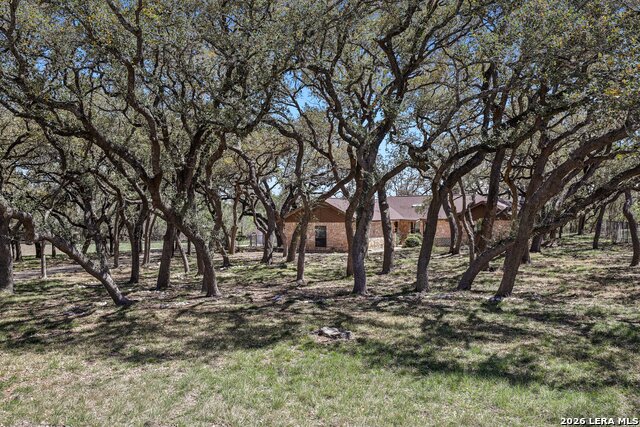 Image 23 of 51 For 11810 Thoroughbred