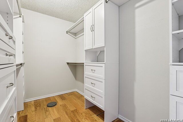 Image 24 of 51 For 11810 Thoroughbred