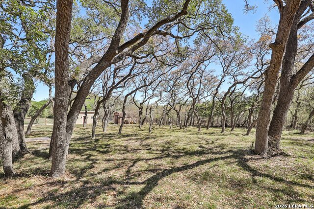 Image 33 of 51 For 11810 Thoroughbred