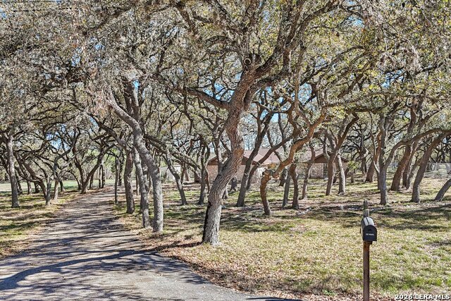 Image 38 of 51 For 11810 Thoroughbred