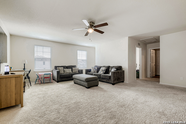 Image 11 of 29 For 6907 Ashcat  