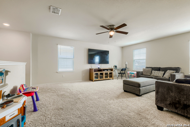 Image 12 of 29 For 6907 Ashcat  