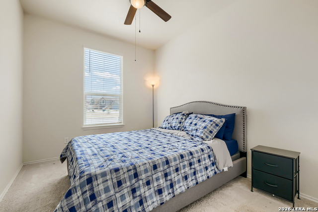 Image 13 of 29 For 6907 Ashcat  