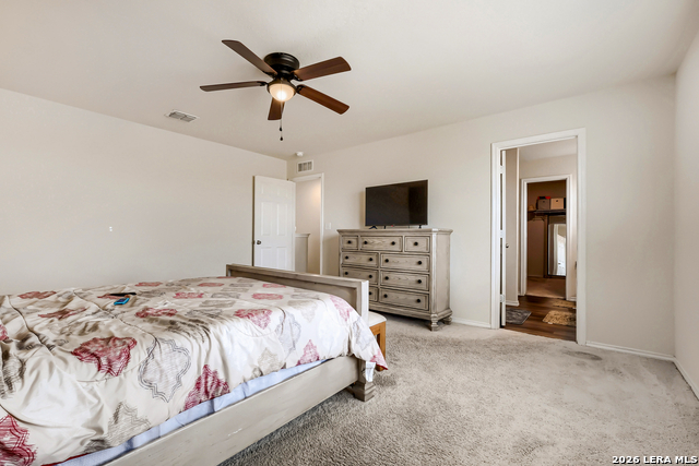 Image 16 of 29 For 6907 Ashcat  