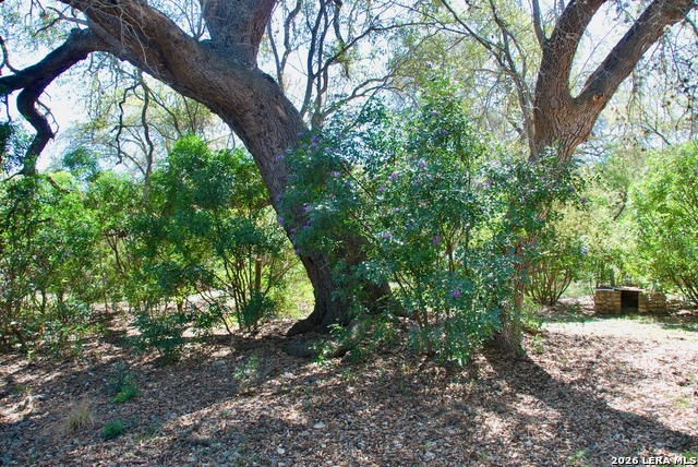 Image 32 of 49 For 625 Mountain Laurel