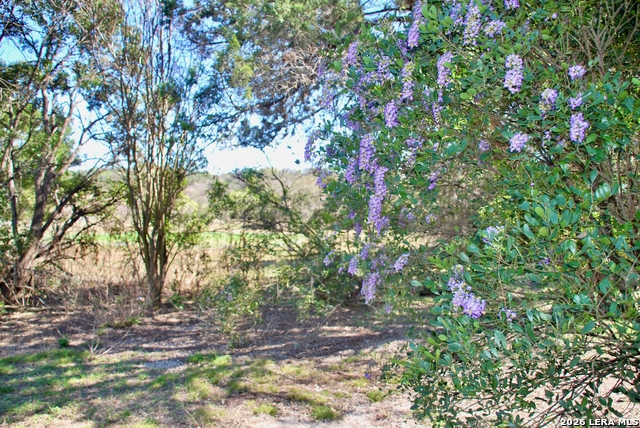 Image 34 of 49 For 625 Mountain Laurel