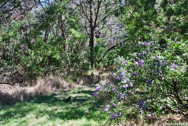 Image 5 of 49 For 625 Mountain Laurel