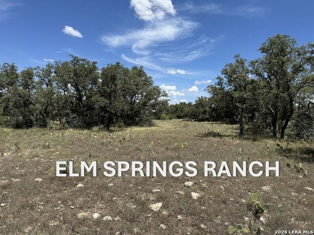 Image 4 of 9 For 0 Elm Sprgs Trl.