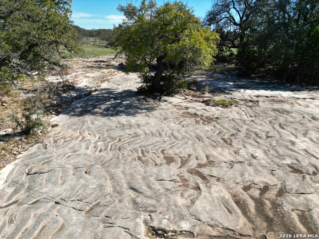 Image 4 of 15 For 264 Pheasant
