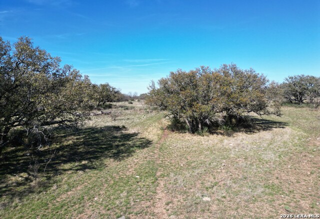 Image 6 of 15 For 264 Pheasant
