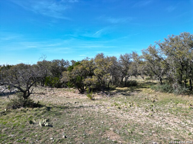 Image 8 of 15 For 264 Pheasant