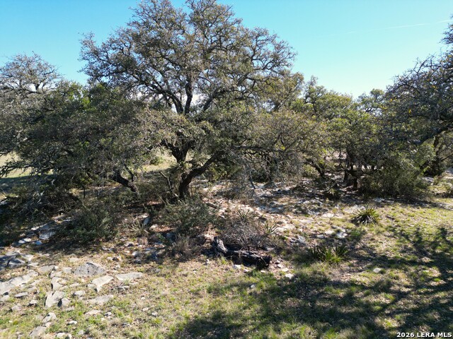 Image 9 of 15 For 264 Pheasant