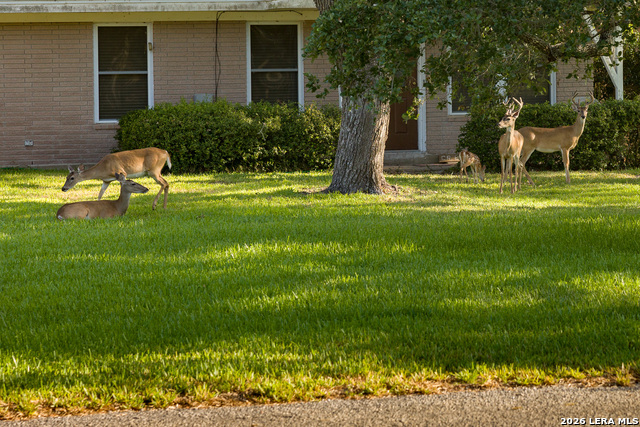 Image 47 of 47 For 113 Timber Lane Loop
