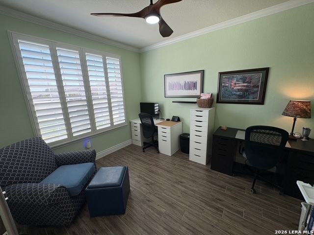 Image 4 of 49 For 13059 Salty  