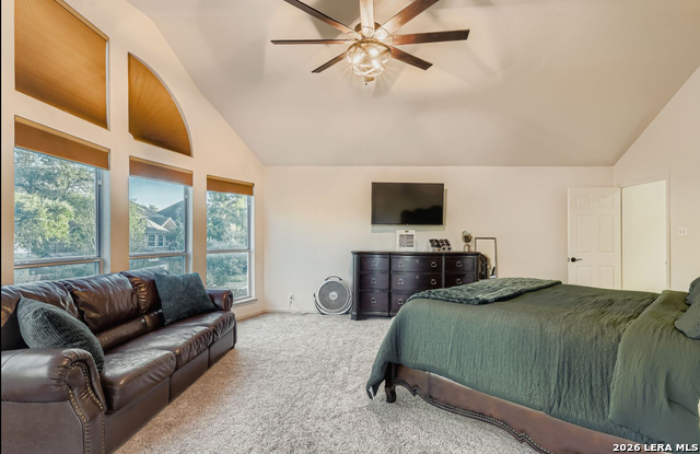 Image 7 of 21 For 34 Sable  