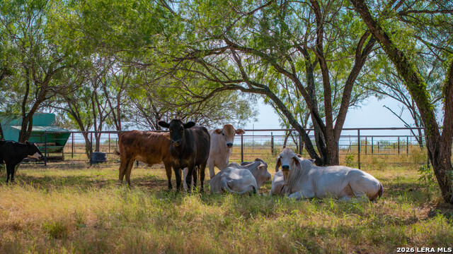 Image 29 of 50 For 5002 Fm 476  