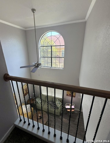 Image 14 of 22 For 6160 Eckhert  1302